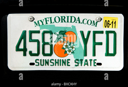 Florida-Kfz-Kennzeichen auf einem schwarzen Auto, USA Stockfoto