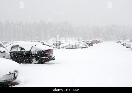 Autos parken in einer schweren Schneefall Stockfoto