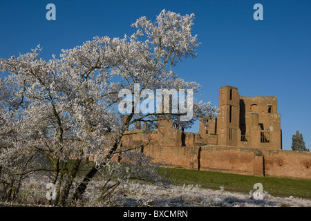 Raureif auf Bäumen - Vereinigtes Königreich Stockfoto