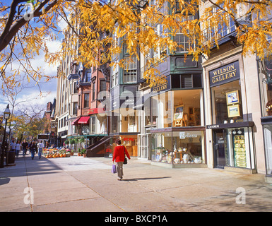Newbury Street (Einkaufsmeile) im Herbst, historisches Viertel Back Bay, Boston, Massachusetts, Vereinigte Staaten von Amerika Stockfoto