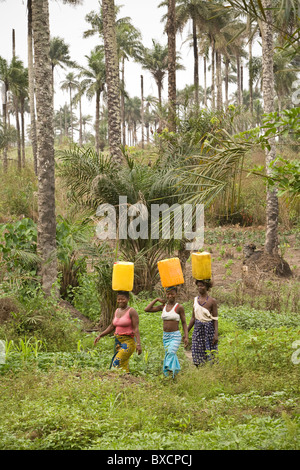 Frauen tragen Wasser wieder aus dem Brunnen in Masiaka, Sierra Leone, Westafrika. Stockfoto