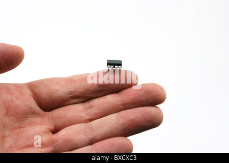 Ein isoliert auf Blatt auf einem weißen Hintergrund mit einem Mikro-Chip auf der Fingerspitze. Stockfoto