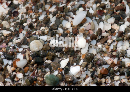 Mehrfarbige nassen Quarz Kieselsteine abgerundet durch Wellenschlag am Strand Stockfoto