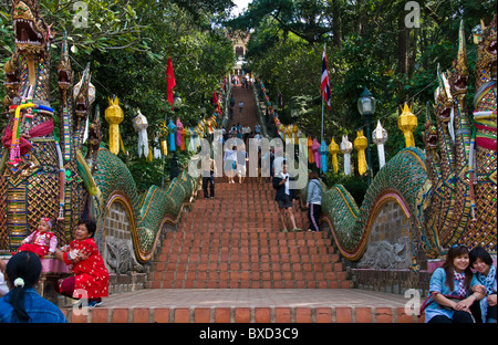 Menschen Klettern nach oben und unten die 300 Stufen im Wat Phra That Doi Suthep in Chiang Mai in Thailand. Stockfoto