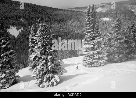 Schneebedeckte Berge in Vail, Colorado Stockfoto