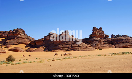 Kamel-Karawane überquert ein Sand-Plateau im Acacous Gebirge, Wüste Sahara, Libyen Stockfoto