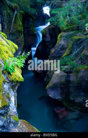 Glazial-Abfluß Kaskaden hinunter Avalanche Creek im Glacier National Park, Montana. Stockfoto