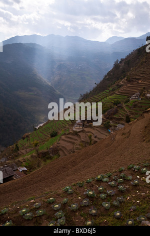 Kohl-Flecken markieren die oberen Terrassen eines Dorfes in Nepal. Stockfoto