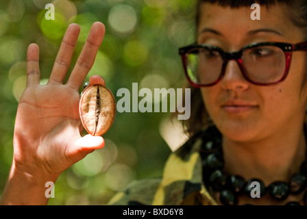 Eine junge Frau hält die Samen zu einem Verwandten der afrikanischen Baobab-Baum. Stockfoto