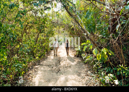 Aktuelle, junge, Brautpaar Vergnügen sich beim gehen auf einen Pfad im Amazonas-Regenwald. Stockfoto