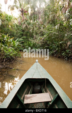 Eine hölzerne Kanu gemacht Eucylptus Baum schwebt in den Amazonas und Nebenflüssen im Regenwald verbinden. Stockfoto