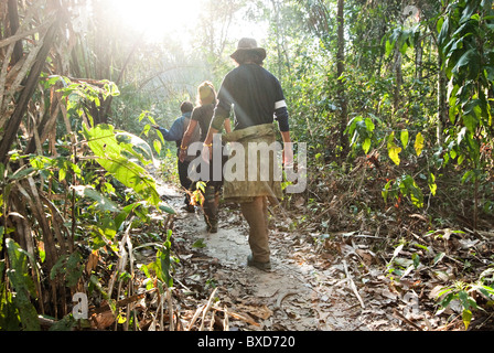 Ein Mann und eine Frau Fuß durch den Amazonas-Regenwald, während der Mitte Morgen. Stockfoto