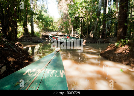 Eine hölzerne Kanu gemacht Eukalyptus Baum schwebt in den Amazonas und Nebenflüssen im Regenwald verbinden. Stockfoto