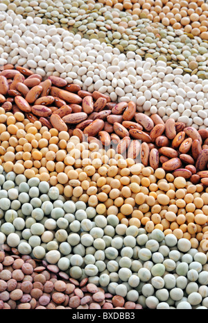 Mischung aus getrockneten Linsen, Erbsen, Sojabohnen, Bohnen - Hintergrund Stockfoto