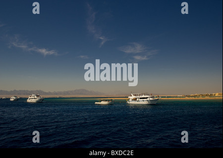 Tauchboote auf den Sporttauchern in Soma Bay in der Nähe von Safaga und Hurghada in Ägypten Stockfoto