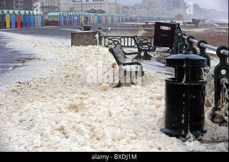 Starkem Wind und Seegang führte zu Hove Strandpromenade in Zoll der Schaum des Meeres bedeckt Stockfoto