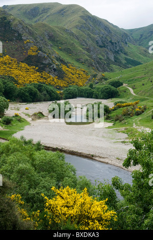 Die Taieri Schlucht am Hindon, Central Otago, Neuseeland Stockfoto