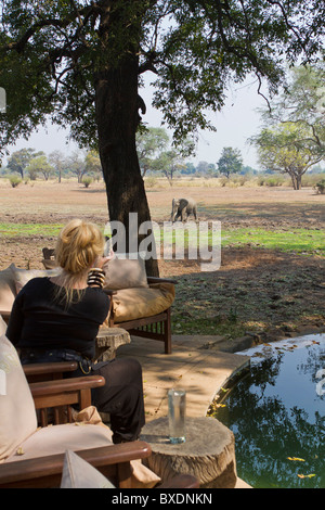 Frau Besucher Uhren Elefanten vom Deck bei Robin Pope Safari Lodge, South Luangwa Valley, Sambia, Afrika Stockfoto