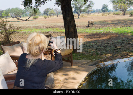 Frau Besucher Uhren Elefanten vom Deck bei Robin Pope Safari Lodge, South Luangwa Valley, Sambia, Afrika Stockfoto