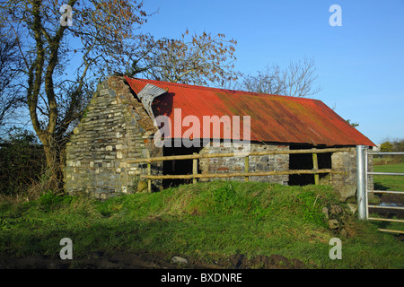 Alte Schuppen ländlichen North County Dublin Irland Stockfoto