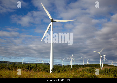 Eole, Cap-Chat, Windkraftanlagen, Gaspesie, Quebec, Kanada Stockfoto