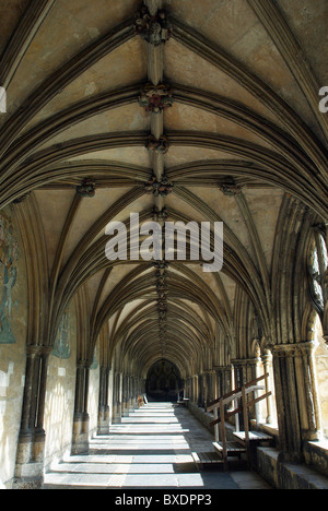 Gewölbten Durchgang Umgebung der Klöster von Norwich Cathedral UK Stockfoto