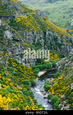 Ein Viadukt über die Taieri Gorge Railway, Central Otago, Neuseeland Stockfoto