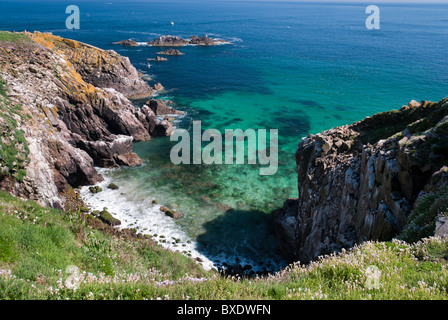 Great Saltee Island, Wexford, Irland Stockfoto