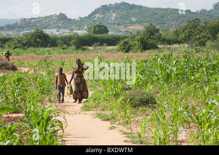 Chadulu Dorf, Dodoma, Tansania, Ostafrika. Stockfoto