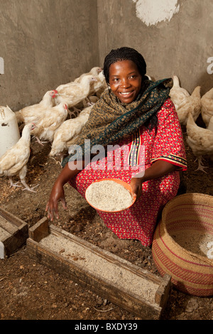 Frau Claria Mwanyika ernährt ihre Hühner in Iringa, Tansania, Ostafrika. Stockfoto