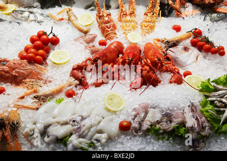 Nahaufnahme von Meeresfrüchten angezeigt auf dem Eis Stockfoto