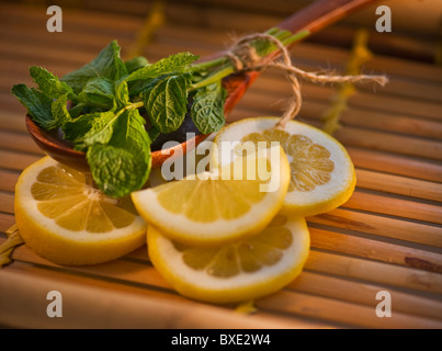 Zitronenminze Scheiben und Holzlöffel Stockfoto