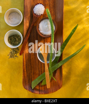 Aloe Vera getrocknete Kräuter Lotion und Salz auf Tablett aus Holz Stockfoto