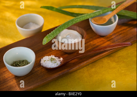 Aloe Vera getrocknete Kräuter Lotion und Salz auf Tablett aus Holz Stockfoto