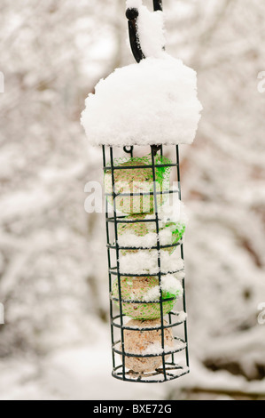 Verschneite Vogelhäuschen Fette Kugel Stockfoto