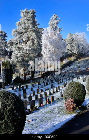 Raureif auf Bäumen am Friedhof Stockfoto