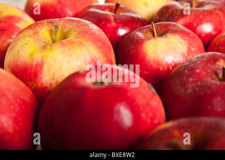 Frische rote saftige Äpfe auf weißen Hintergrund isoliert Stockfoto