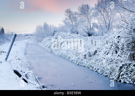 Winter-Szene des Teils des Wembdon Rhyne nach starkem Schneefall über Nacht. Stockfoto