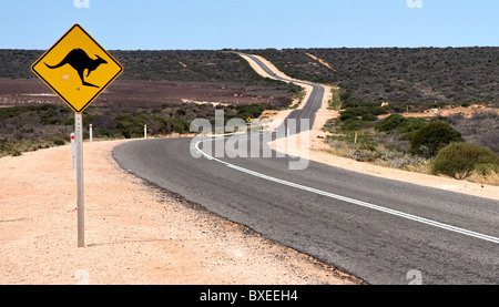 Vorsicht bei Kängurus Straßenschild auf dem Weg nach Monkey Mia von Denham Shark Bay in Western Australia Stockfoto