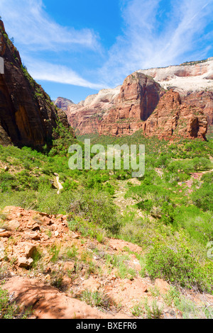 Ansicht eines Canyons in Zion National park Stockfoto