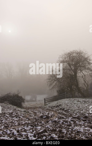 Eiskalte Nebel über einem Acker mit einem Blick durch ein Tor, einige Schafe grasen im ländlichen Wales, UK Stockfoto