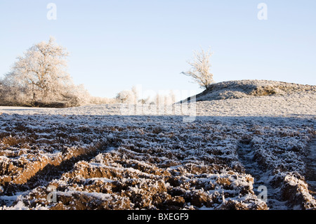 Ein Frost bedeckt zerfurchte Feld mit harter Blick auf Raureif bedeckt Bäume im ländlichen Wales UK Stockfoto