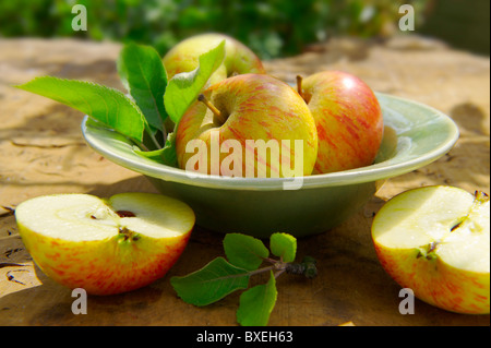 Frisch gepflückte Äpfel in eine Schüssel geben Stockfoto