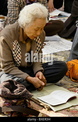 Alte Frau beten im buddhistischen Tempel, Seoul, Südkorea Stockfoto