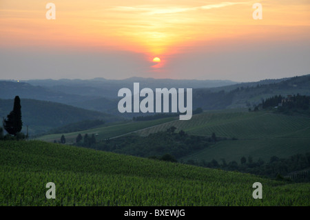 Sonnenuntergang über Toskana und Wiesen Stockfoto