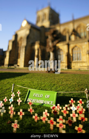 Bereich der Remembrance Day Mohn in Sherborne Abbey, Dorset, England. Stockfoto