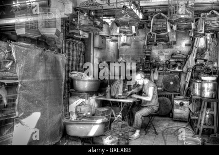 Kowloon, Hong Kong Vogel Garten an der Yuen Po Street, sehen die Vögel im Käfig bereit zum Verkauf oder zeigen chinesische Mann arbeitet im shop Stockfoto