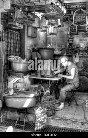 Kowloon, Hong Kong Vogel Garten an der Yuen Po Street, sehen die Vögel im Käfig bereit zum Verkauf oder zeigen chinesische Mann arbeitet im shop Stockfoto