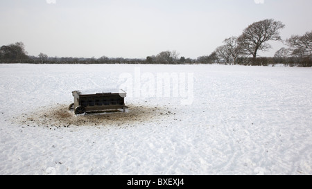 Futterhäuschen für Schafe im Schnee Stockfoto