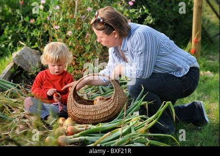 Eine Mutter und ihr Sohn mit einer Ernte von frisch gezapftes Zwiebeln aus einem Hochbeet in einen englischen Garten gemeinsamen Bauernhof Blumen UK Stockfoto